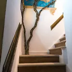 Dream *